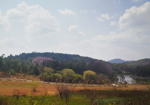 鹦鹉山公园