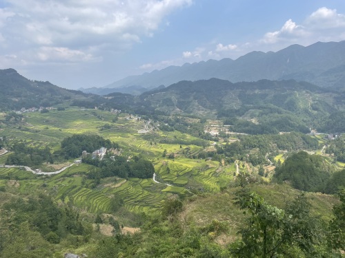 花田梯田景区