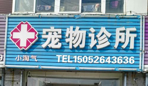 小淘气宠物诊所(洪泽分部店)