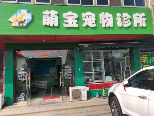 萌宝宠物诊所