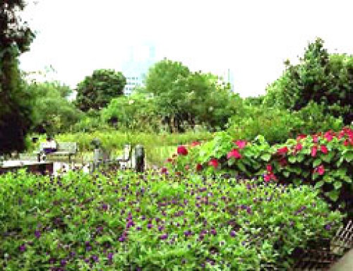 香港动植物公园