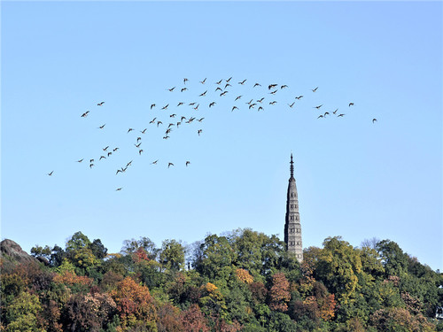 杭州西湖风景名胜区-保俶塔