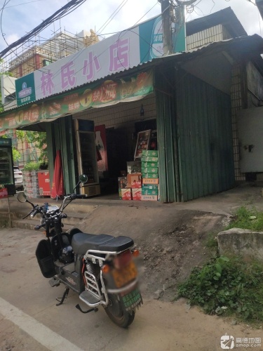 林氏小店