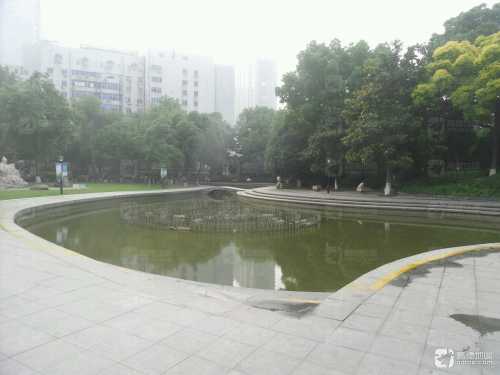 人民公园-广玉兰喷泉