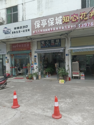 保亭保城知心花卉坊