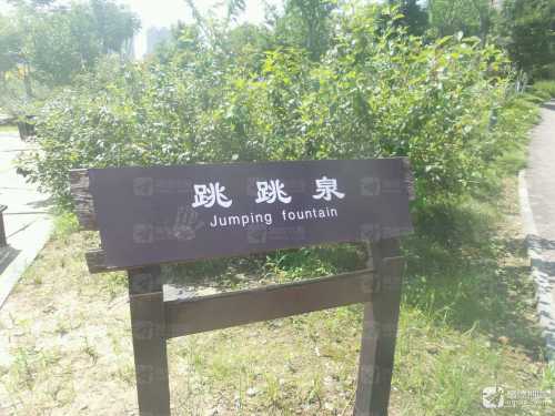 盐渎公园-跳跳泉
