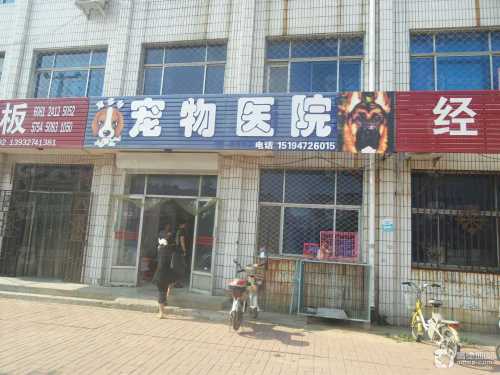 宠多多宠物医院(光明西路)