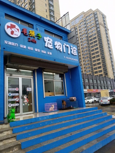 毛孩子宠物医院