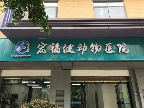 宠福健动物医院