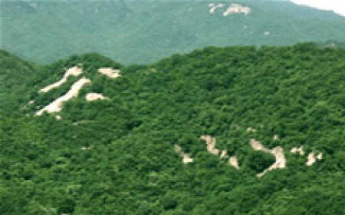 天池山国家森林公园