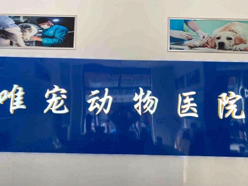 唯宠动物医院
