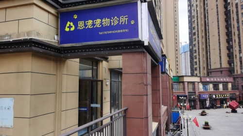 恩宠宠物诊所