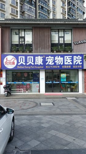 贝贝康宠物医院运达分院