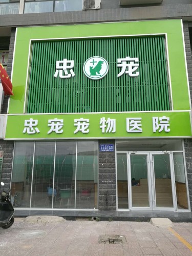 忠宠宠物医院