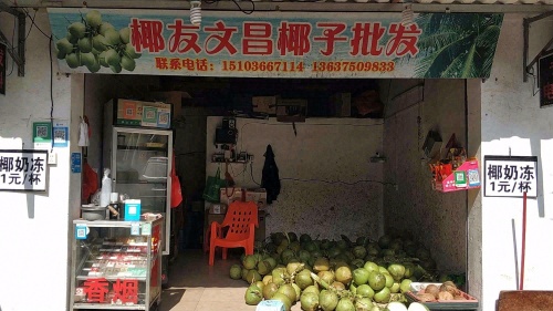 椰友文昌椰子批发