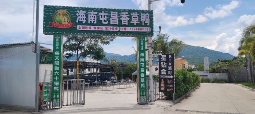 海南屯昌香草鸭(林旺店)