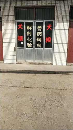 内黄县井店镇宠物医院