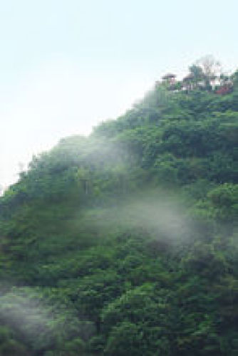 鸿恩寺森林公园