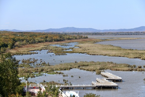 莲花泡风景区