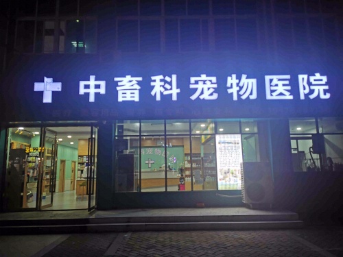 中畜科宠物医院