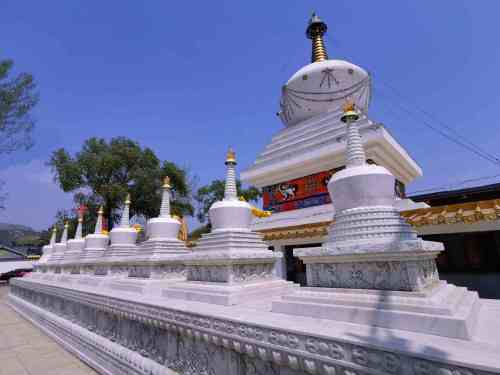 官大海吉祥寺