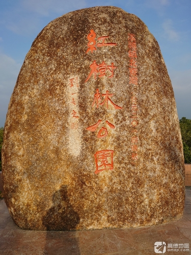 溪头镇北寮湾红树林公园