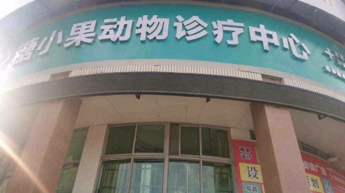 糖小果24小时动物诊疗中心