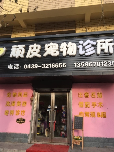 顽皮动物医院