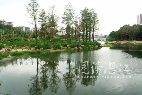霞湖公园