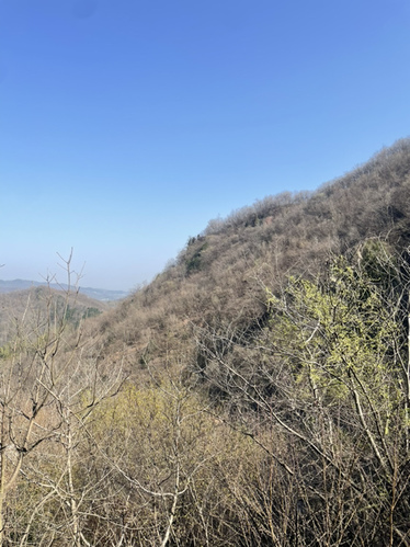 天子寨风景区