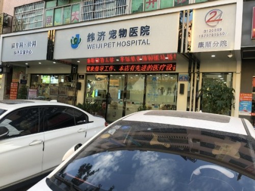 纬济宠物医院康顺分院