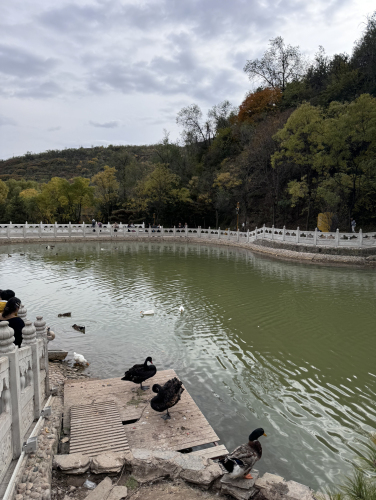 光禄山景区