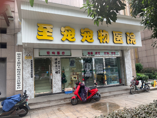 至宠宠物医院
