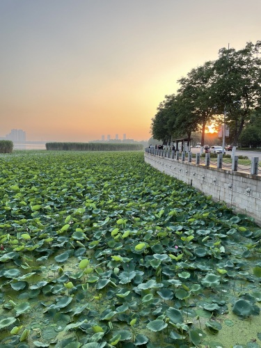 宜兴市团氿风景区-团氿城市湿地公园