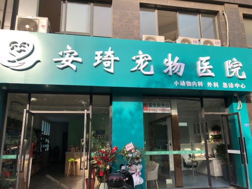 安琦宠物医院