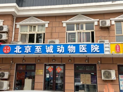 爱猫爱狗北京至诚动物医院