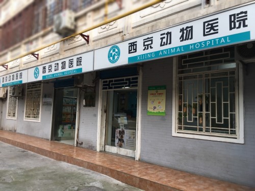西京动物医院
