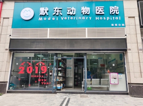 默东动物医院雄楚分院
