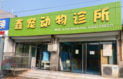 鑫宠动物诊所