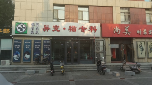 福贝恩黑大夫宠物医院异宠猫分院