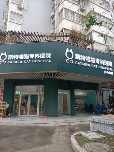 凯特喵猫专科医院(白马分院)