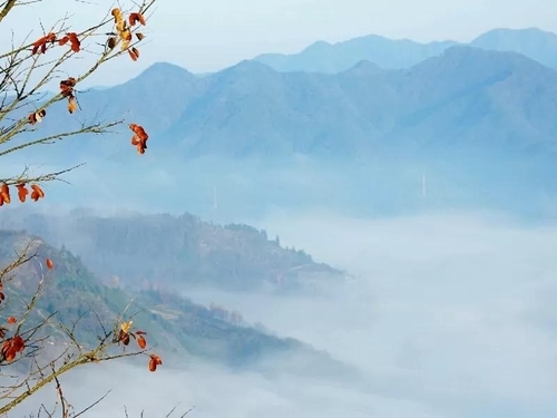 坡山风景区