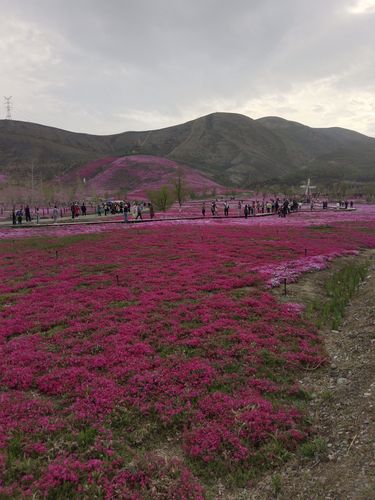 援疆生态公园