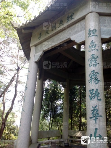 鲤鱼朝天亭