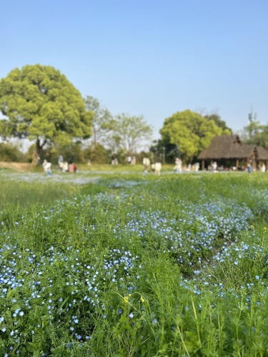 西溪湿地周家村