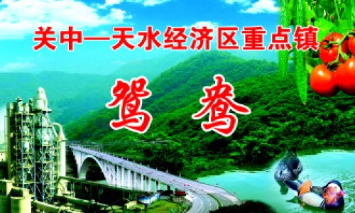 鸳鸯镇