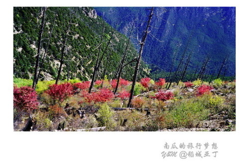 甘孜稻城亚丁景区-甘孜俄初山的第1张图片的图片资料