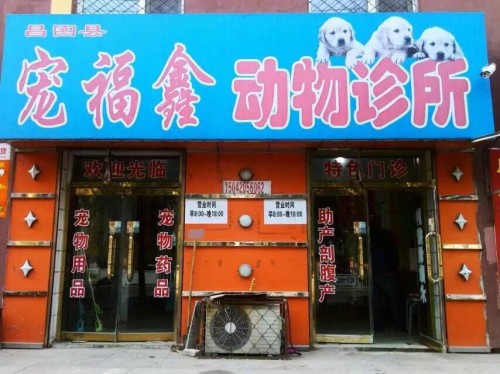 宠福鑫动物诊所