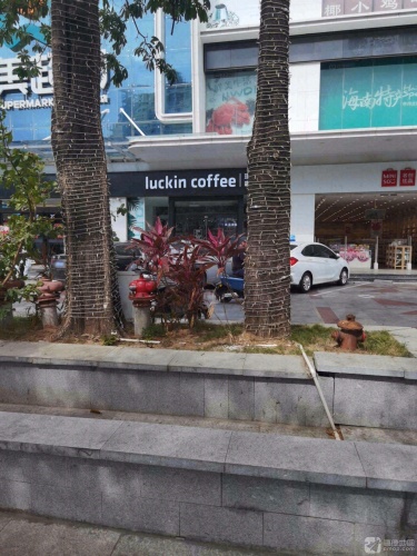 南国海南特产