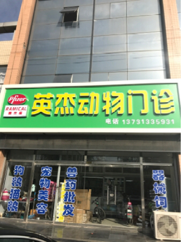 英杰动物门诊